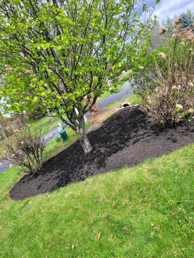 Top-rated landscaping services in Waynesboro, VA by Olvera's Landscaping
