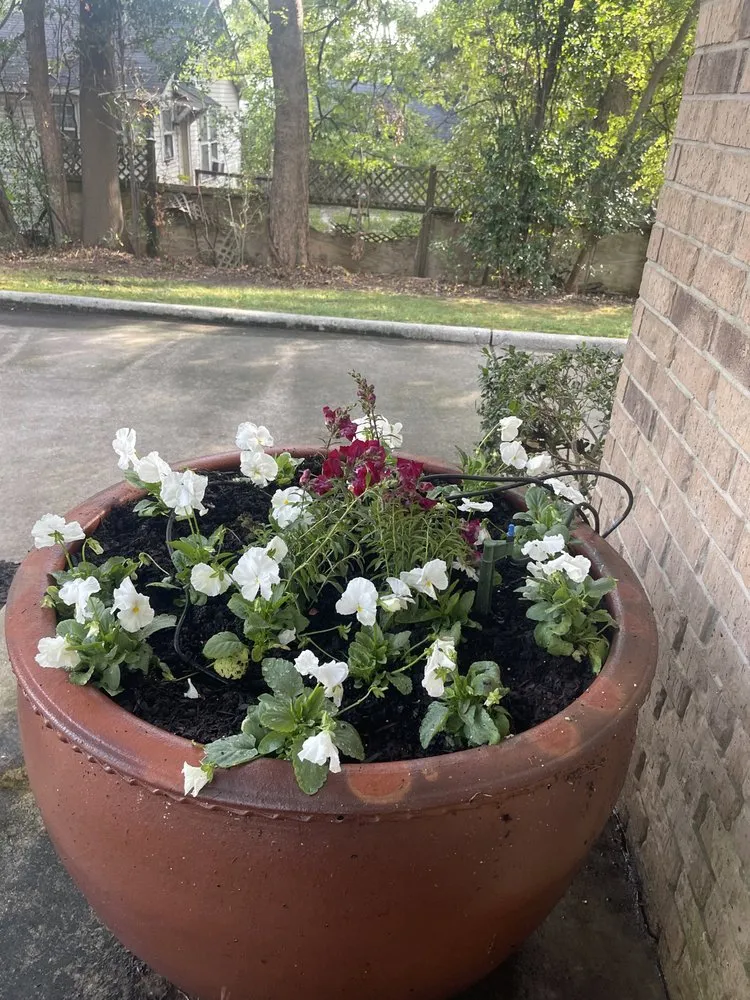 Reliable yard cleanup service for homes in Marshall, TX by Olvera's Lawn Service