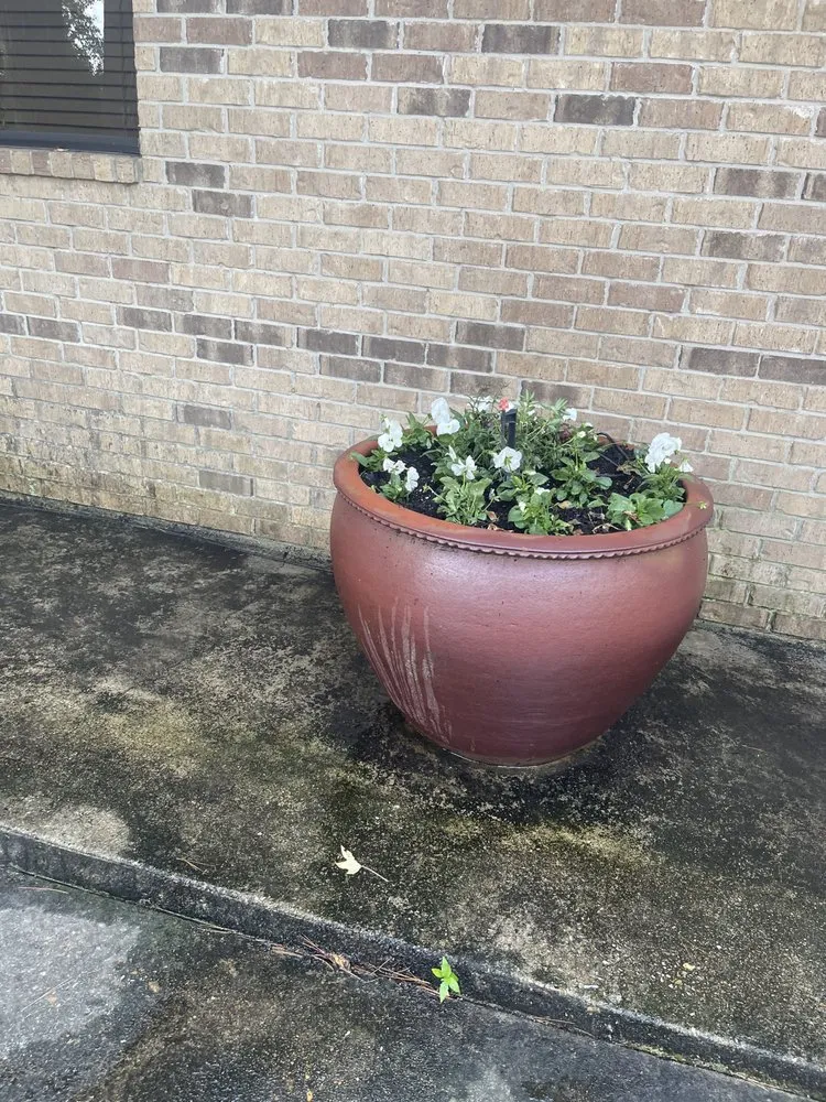 Professional landscape installation in Marshall, TX by Olvera's Lawn Service