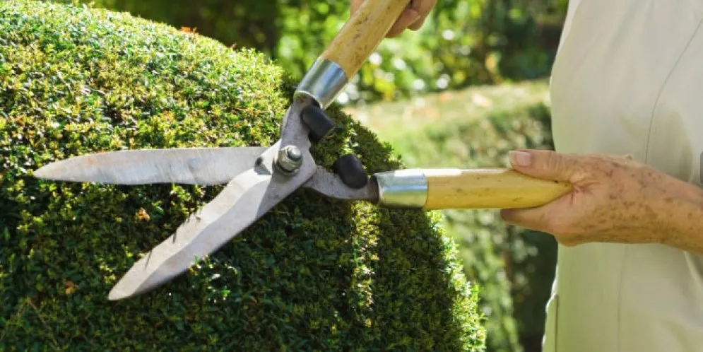 Expert landscape design for residential properties across Antioch, CA - Oly Landscape Construction