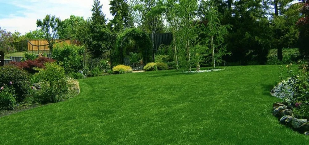 Expert landscape design for year-round maintenance across Antioch, CA - Oly Landscape Construction