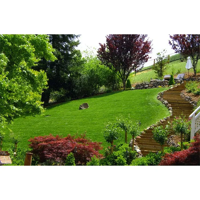 Professional landscape installation experts serving Antioch, CA - Oly Landscape Construction