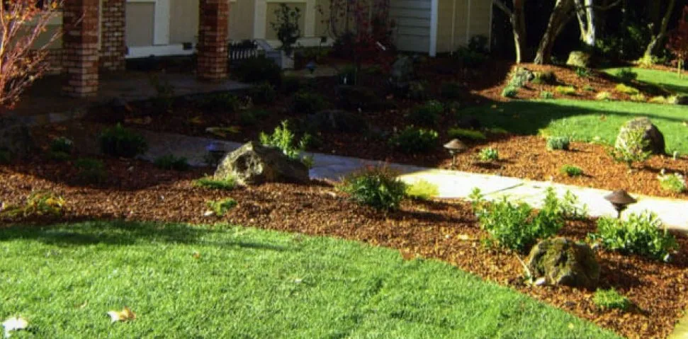 Expert outdoor landscaping in Antioch, CA by Oly Landscape Construction
