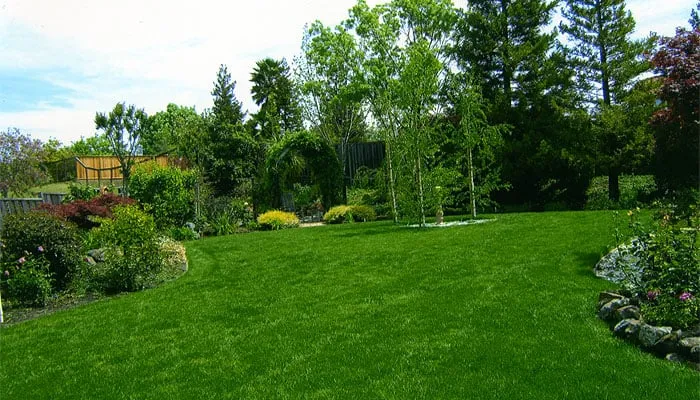 Top-rated landscape installation near you across Antioch, CA - Oly Landscape Construction