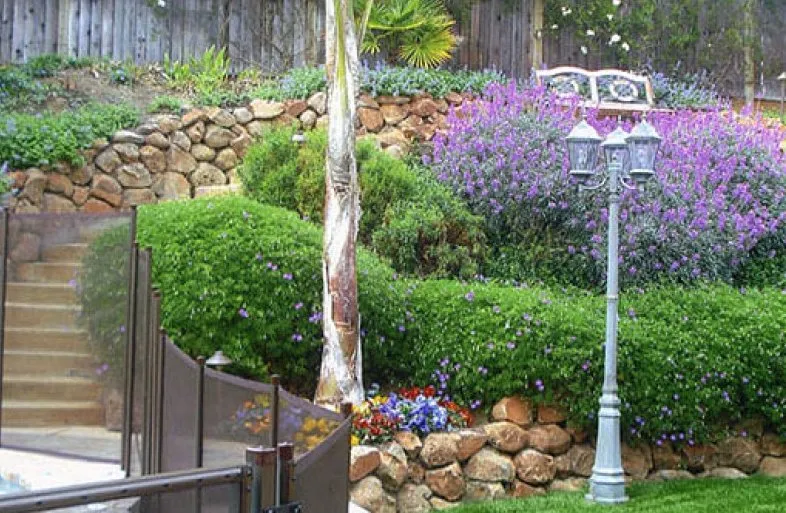 Custom residential landscaping in Antioch, CA - Oly Landscape Construction