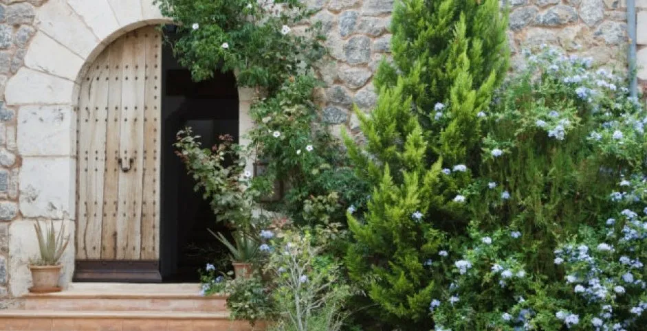 Expert yard maintenance for beautiful yards in Antioch, CA by Oly Landscape Construction