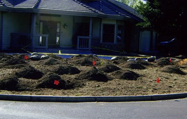 Top-rated yard cleanup service in Antioch, CA - Oly Landscape Construction