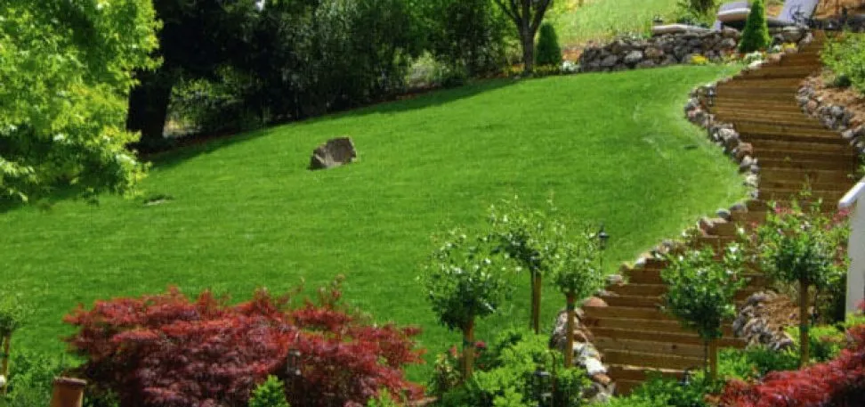 Top-rated lawn care service experts serving Antioch, CA - Oly Landscape Construction