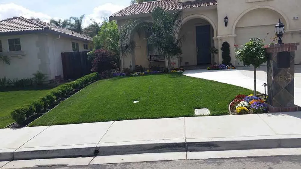 Expert yard cleanup service in Danville, CA - Oly Landscape Construction