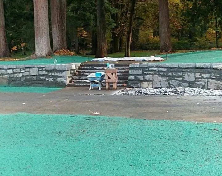 Professional yard maintenance in Olympia, WA by Olympia Hydroseeding