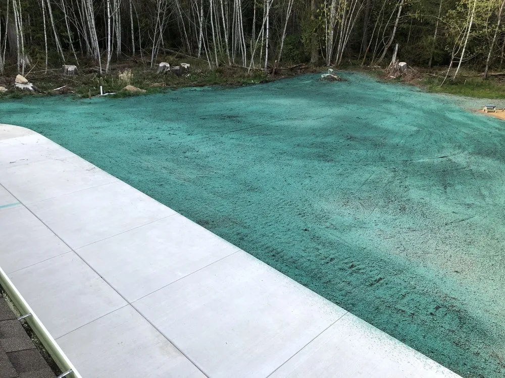 Expert landscape design for year-round maintenance across Olympia, WA - Olympia Hydroseeding