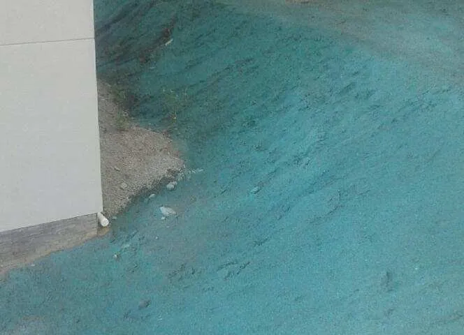 Professional yard maintenance experts serving Olympia, WA - Olympia Hydroseeding