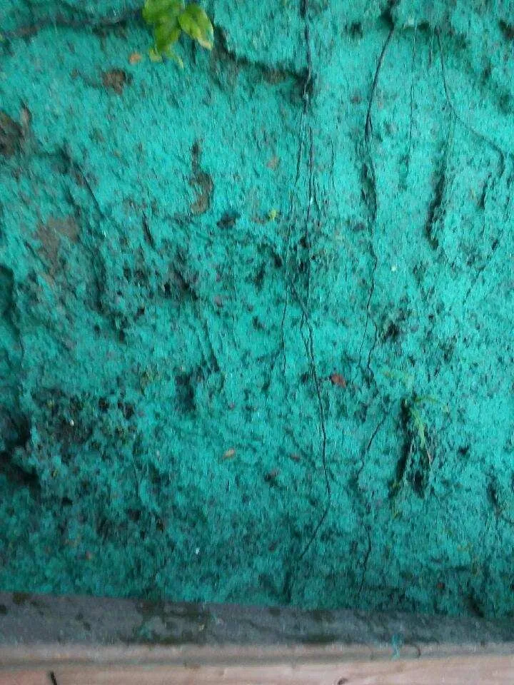 Expert outdoor landscaping in Olympia, WA - Olympia Hydroseeding