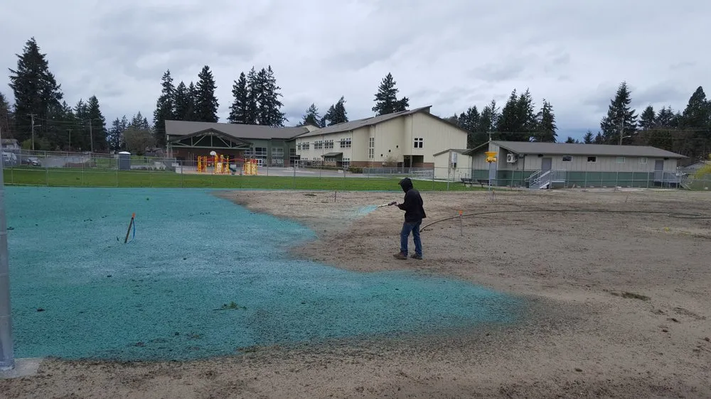 Professional yard cleanup service with custom design across Olympia, WA - Olympia Hydroseeding