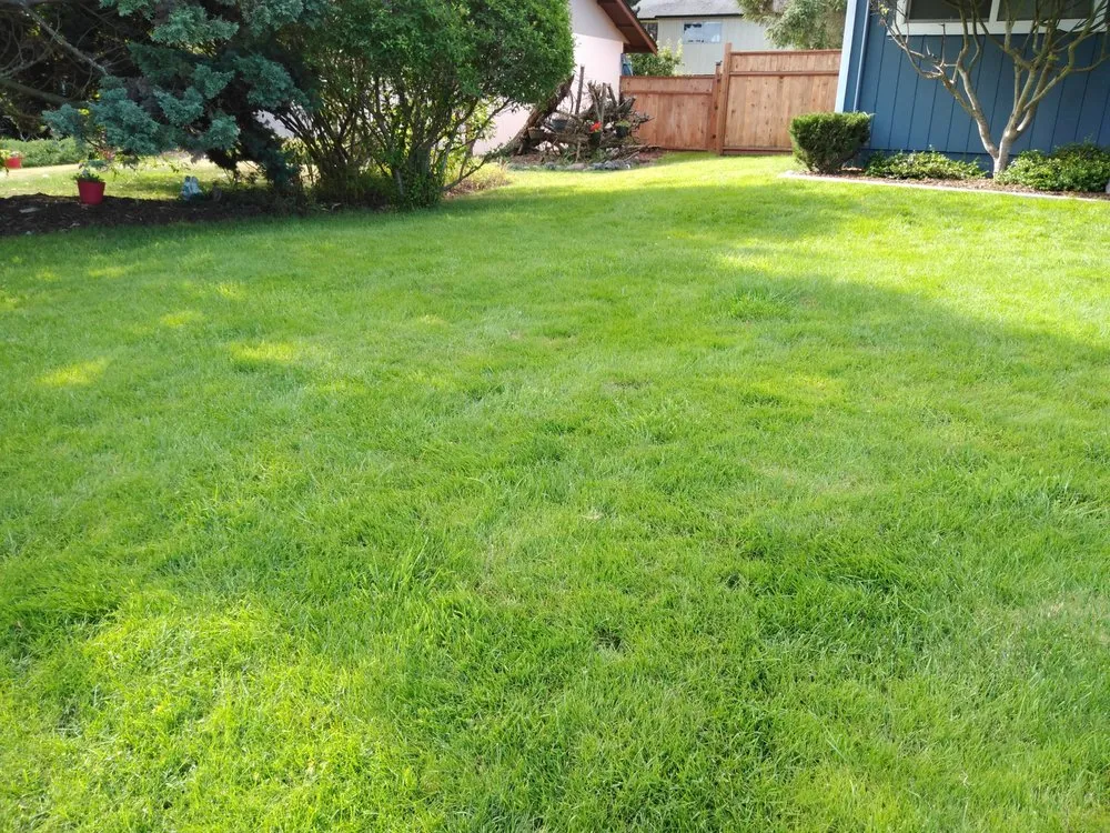 Custom lawn care service for year-round maintenance in Port Townsend, WA by Olympic Grass
