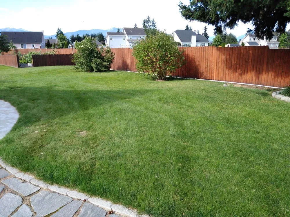 Affordable landscape design for year-round maintenance across Port Townsend, WA - Olympic Grass