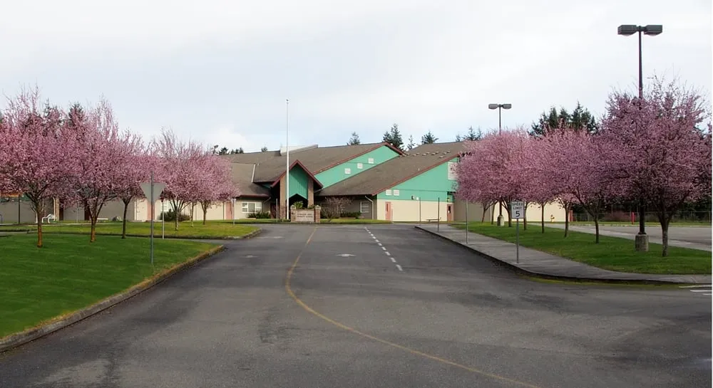Affordable landscape design experts serving Port Hadlock, WA - Olympic Greenhouse Nursery & Landscaping