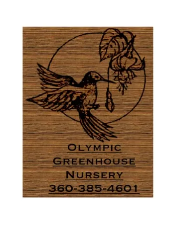 Professional lawn care service near you across Port Hadlock, WA - Olympic Greenhouse Nursery & Landscaping