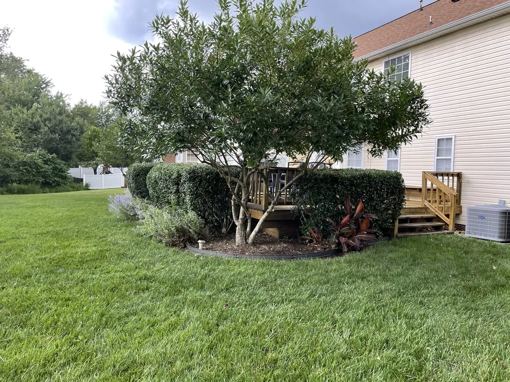 Custom outdoor landscaping for outdoor upgrades across Portsmouth, VA - Olympic Land & Lawn