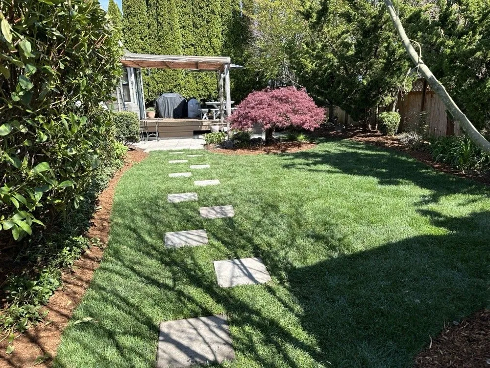 Affordable yard maintenance in Puyallup, WA by Olympic Landscape
