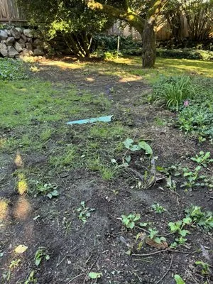 Olympic Rockery & Landscape Supply