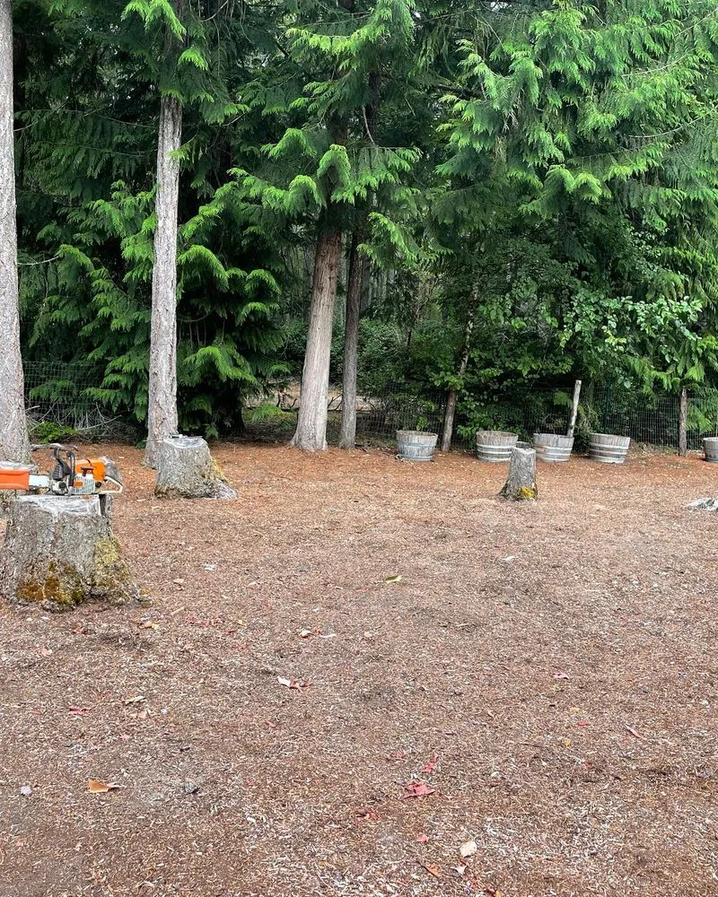 Reliable landscape installation experts serving Rochester, WA - Olympic Stump Grinding