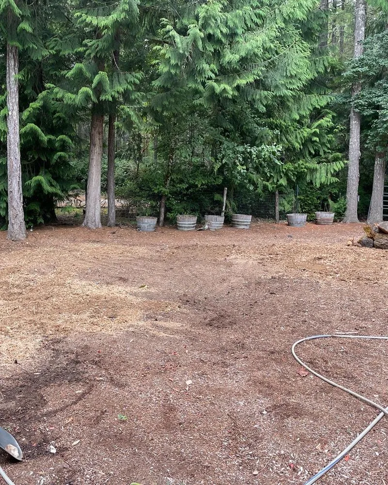 Top-rated yard cleanup service in Rochester, WA by Olympic Stump Grinding