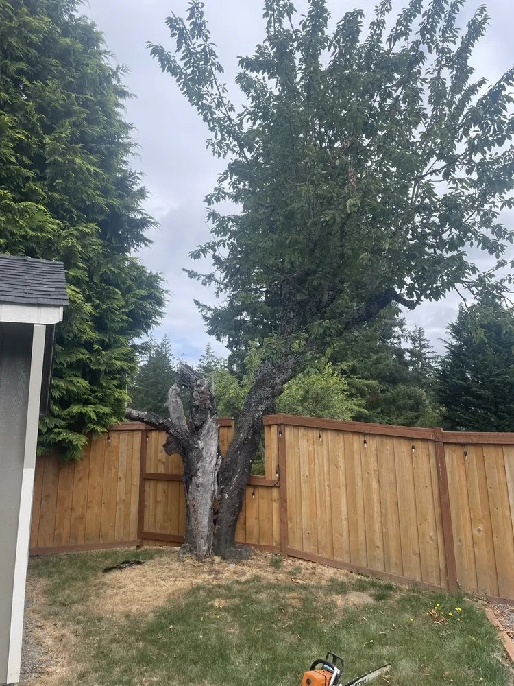 Custom lawn mowing service in Rochester, WA by Olympic Stump Grinding