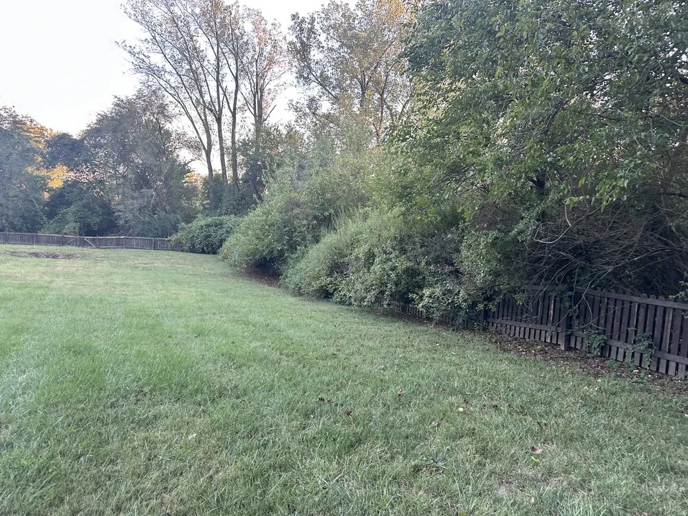 Professional landscaping services experts serving Independence, MO - Olympic Yard Works