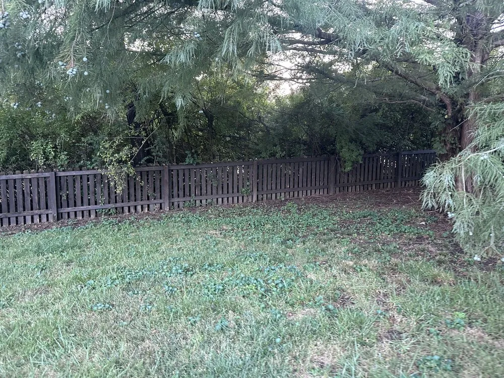 Reliable residential landscaping for outdoor upgrades in Independence, MO by Olympic Yard Works