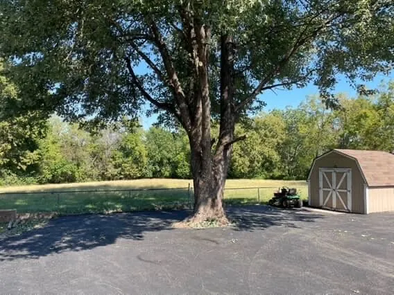 Reliable yard maintenance in Independence, MO - Olympic Yard Works