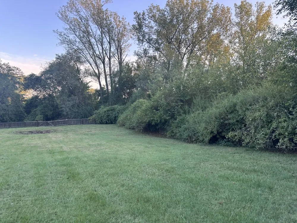 Trusted yard maintenance experts serving Independence, MO - Olympic Yard Works