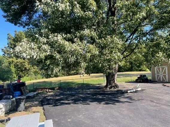 Professional lawn care service for beautiful yards across Independence, MO - Olympic Yard Works