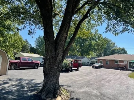 Custom landscaping services for outdoor upgrades in Independence, MO by Olympic Yard Works