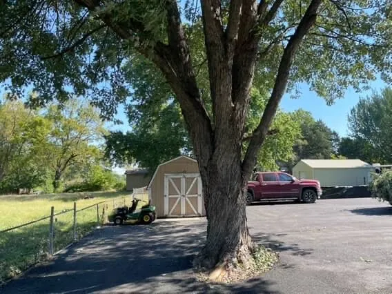 Top-rated yard cleanup service for beautiful yards in Independence, MO by Olympic Yard Works