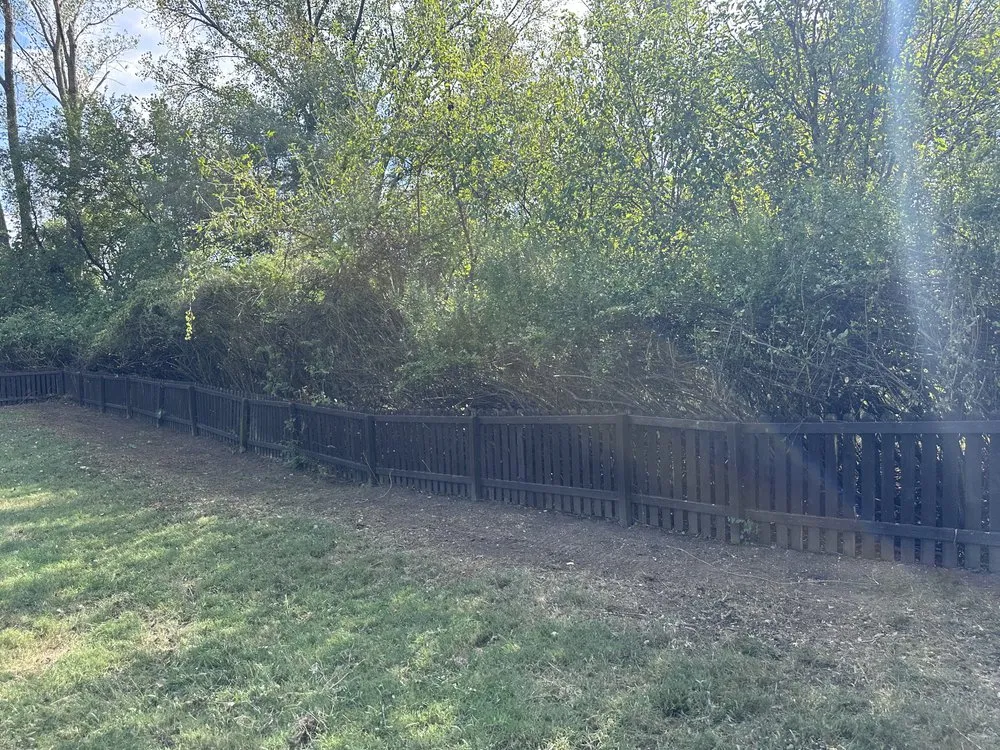 Professional garden landscaping experts serving Independence, MO - Olympic Yard Works