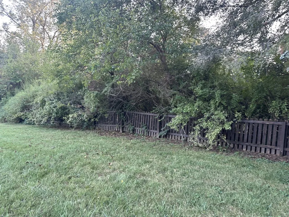 Top-rated landscaping services in Independence, MO by Olympic Yard Works