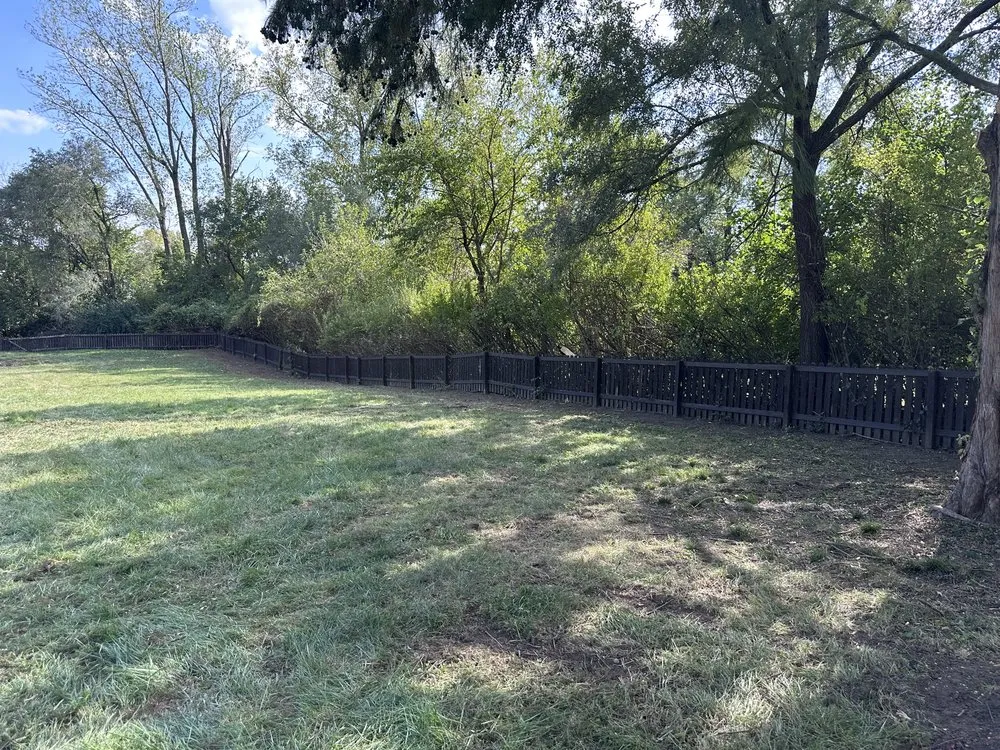 Affordable yard cleanup service for residential properties across Independence, MO - Olympic Yard Works