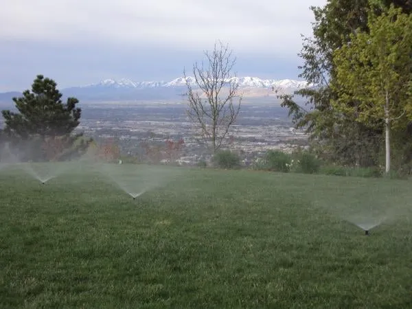 Professional landscape installation for outdoor upgrades across Salt Lake City, UT - Olympus Irrigation