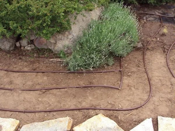 Professional lawn mowing service in Salt Lake City, UT by Olympus Irrigation