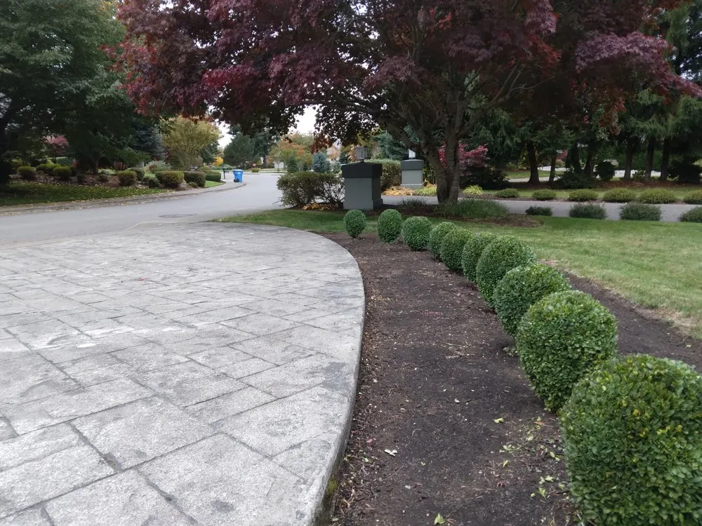 Top-rated landscaping services experts serving Olympia, WA - Olympus Landscaping