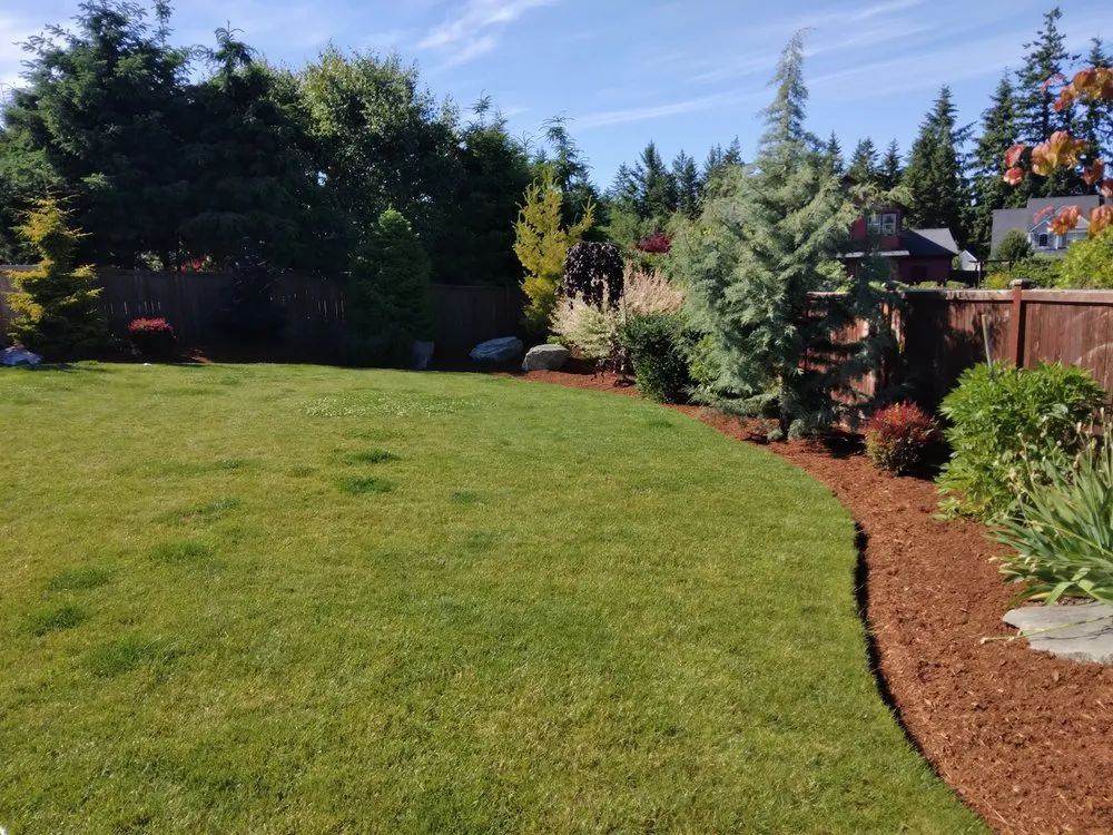 Local outdoor landscaping for year-round maintenance in Olympia, WA by Olympus Landscaping