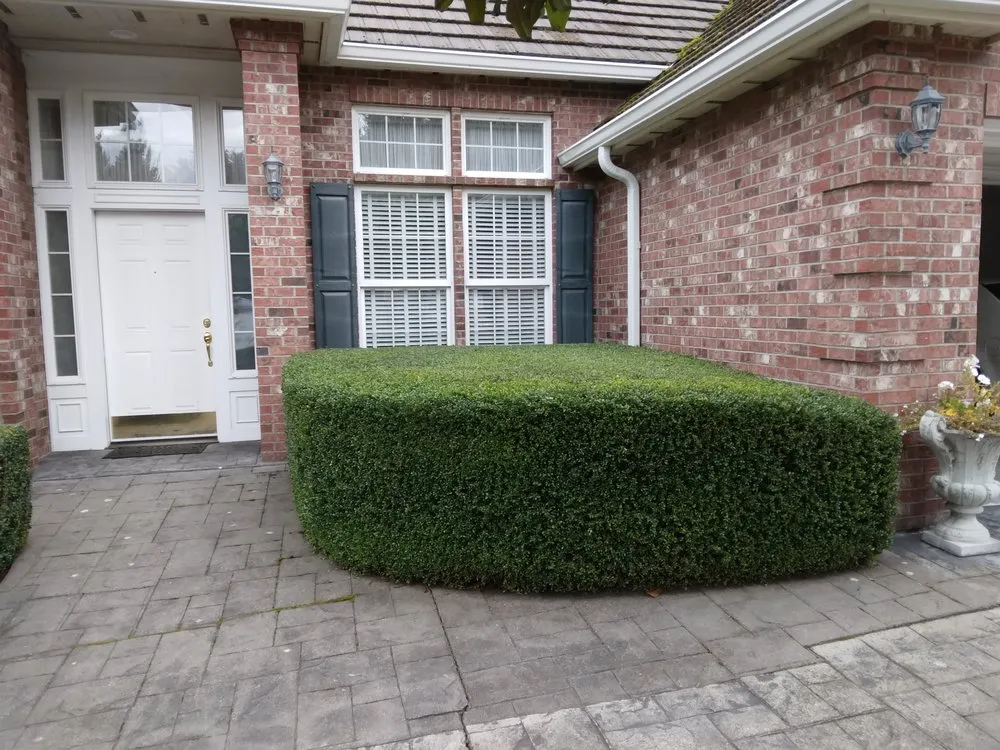 Trusted outdoor landscaping experts serving Olympia, WA - Olympus Landscaping