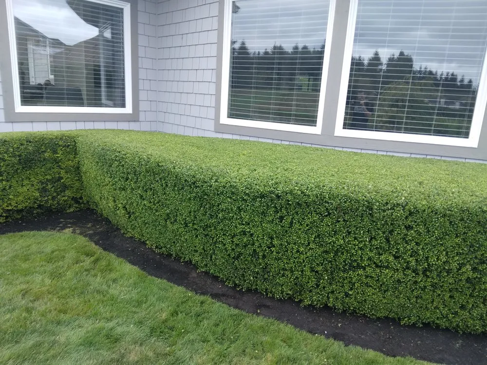 Professional landscaping services in Olympia, WA by Olympus Landscaping