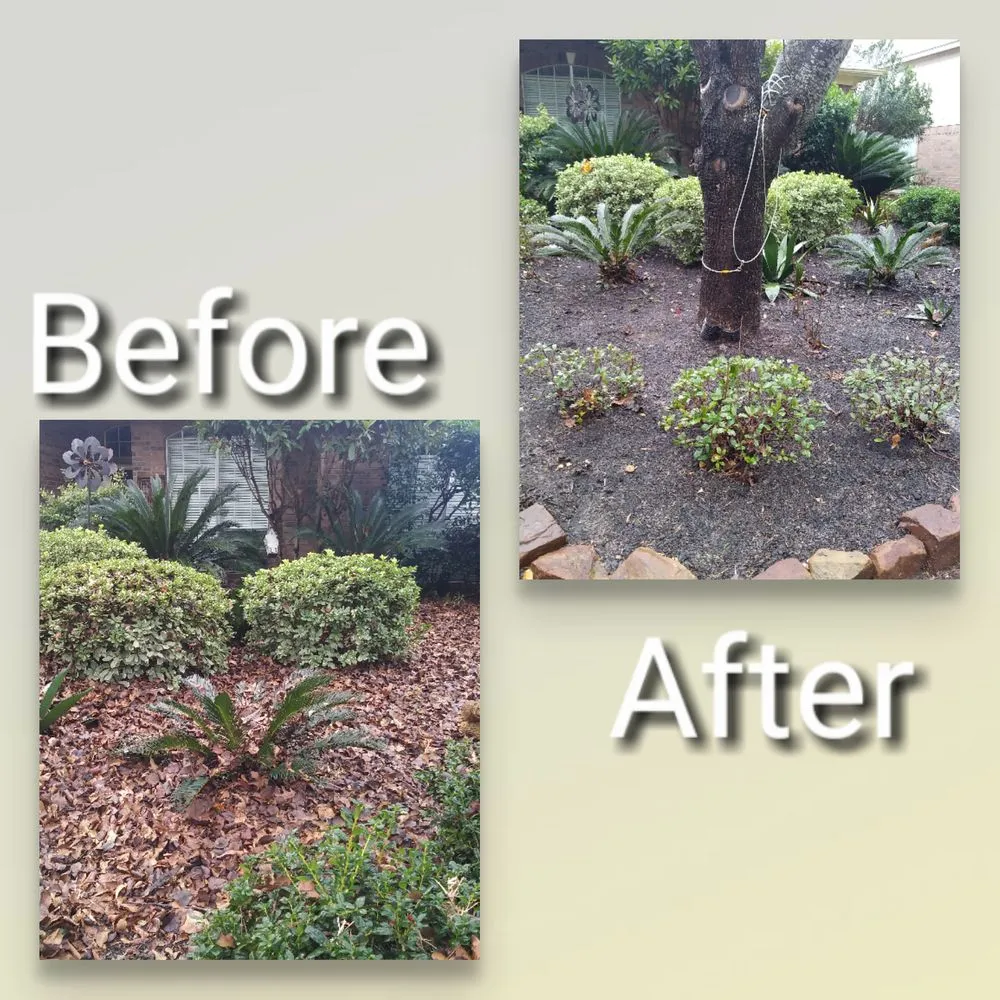Affordable residential landscaping for homes across Houston, TX - Olympus Lawn & Pool