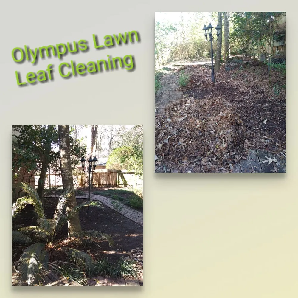 Reliable outdoor landscaping for homes in Houston, TX by Olympus Lawn & Pool