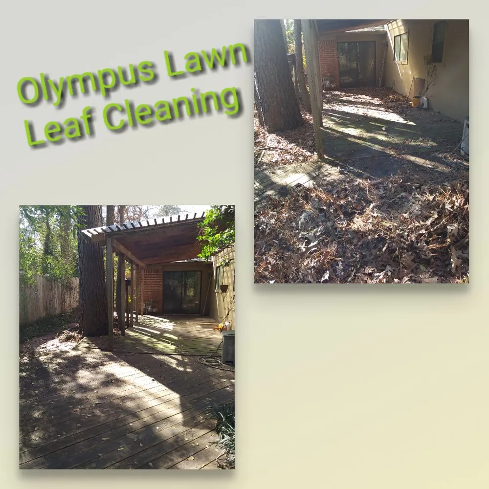 Local lawn mowing service experts serving Houston, TX - Olympus Lawn & Pool