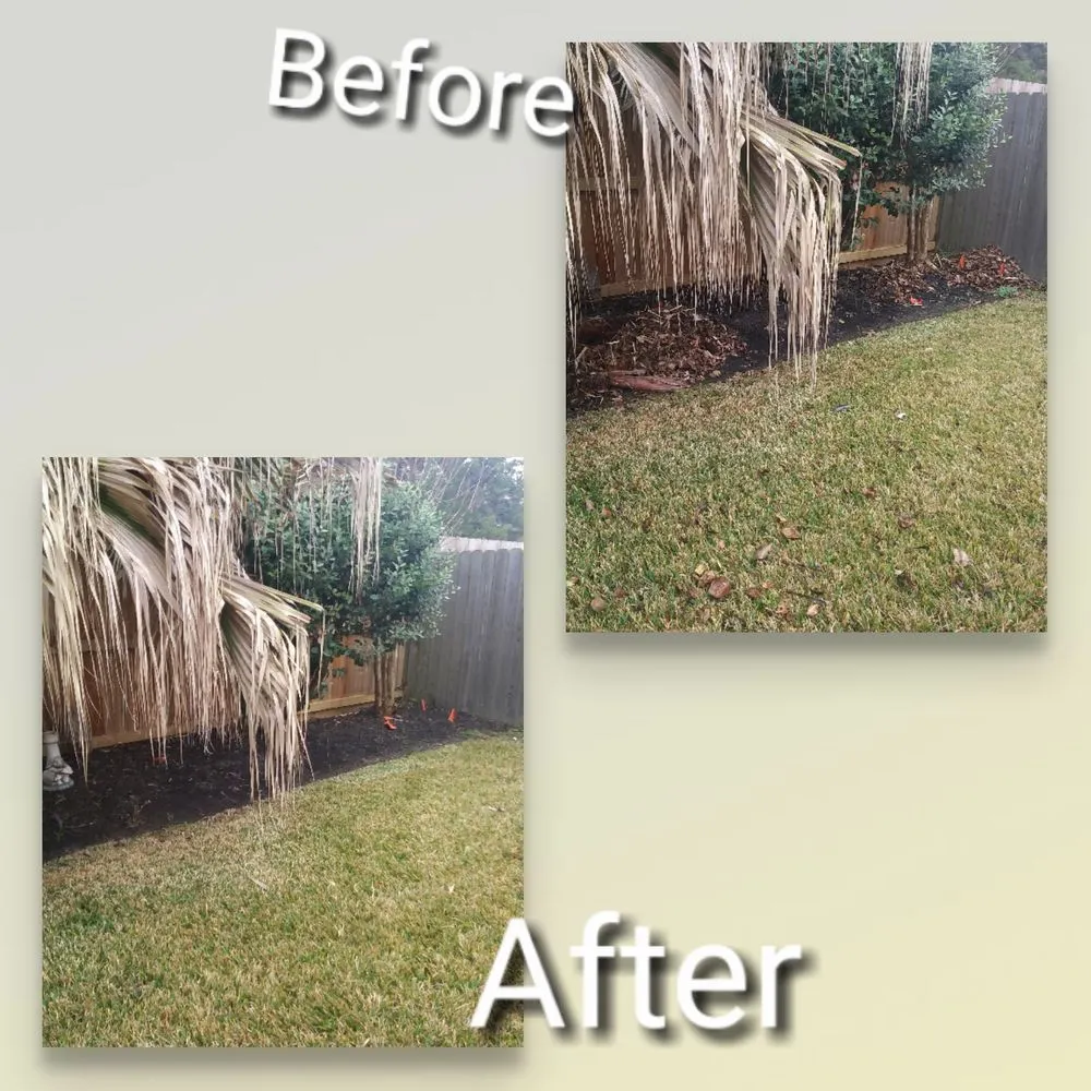 Expert outdoor landscaping for residential properties across Houston, TX - Olympus Lawn & Pool