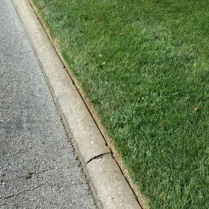 Affordable landscape design for outdoor upgrades in Houston, TX by Olympus Lawn & Pool