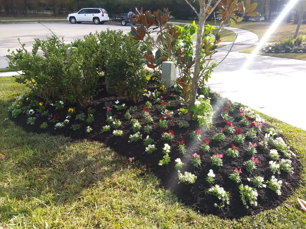 Expert yard cleanup service with custom design in Houston, TX by Olympus Lawn & Pool